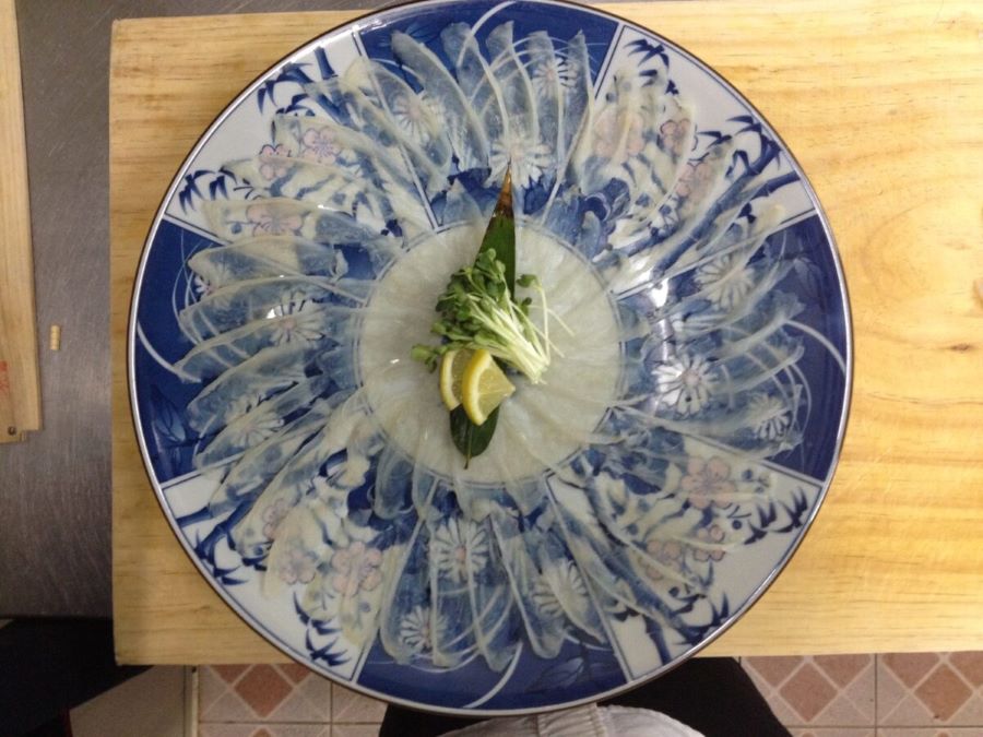 참복활어 복어회 필렛